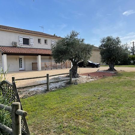 Studio 40M2 Avec Terrasse Le Mas De Lauriane Saintes-Maries-de-la-Mer Zewnętrze zdjęcie