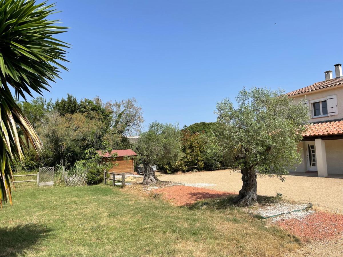 Studio 40M2 Avec Terrasse Le Mas De Lauriane Saintes-Maries-de-la-Mer Zewnętrze zdjęcie