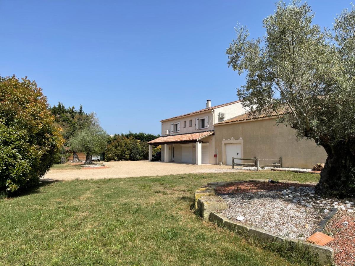 Studio 40M2 Avec Terrasse Le Mas De Lauriane Saintes-Maries-de-la-Mer Zewnętrze zdjęcie